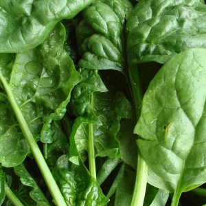 Врач назвала продукт, который может снижать аппетит