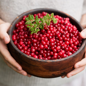 Их едят все долгожители: топ-5 самых полезных ягод – добавьте их в рацион в июне