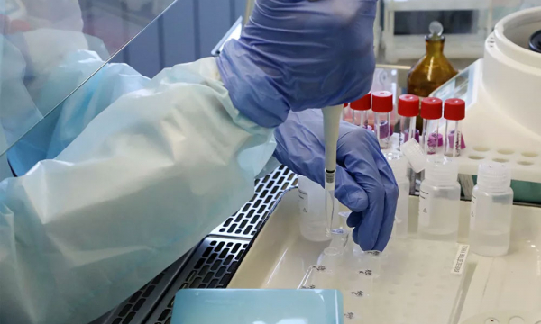 Ученые предположили, сколько времени остается иммунитет от коронавируса